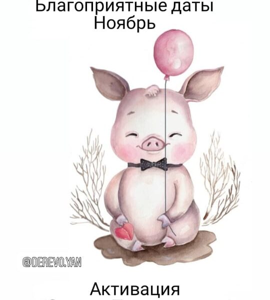 Ноябрь 2021 и Активации Процветания